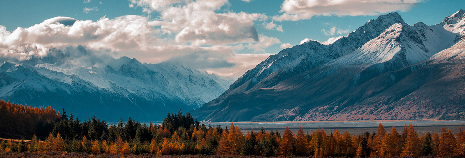 NZ landscape